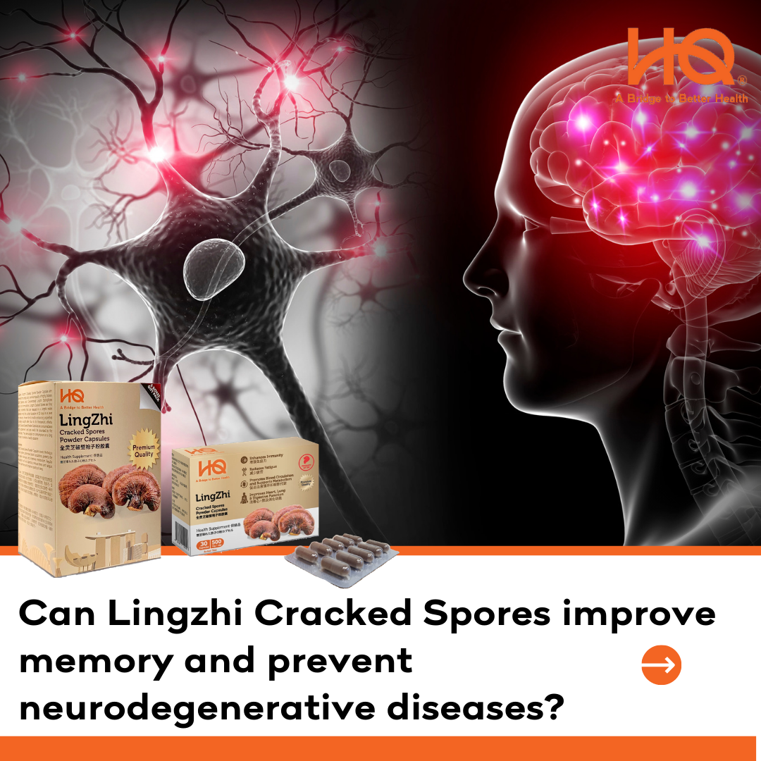 Can Lingzhi Cracked Spores improve memory and prevent neurodegenerative diseases?