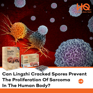 Can Lingzhi Cracked Spores Prevent The Proliferation Of Sarcoma In The Human Body?