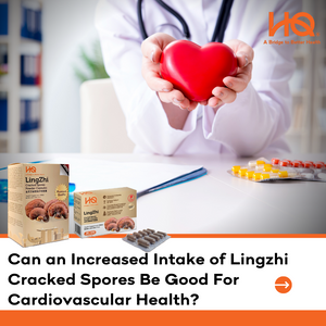 Can an Increased Intake of Lingzhi Cracked Spores Be Good For Cardiovascular Health?