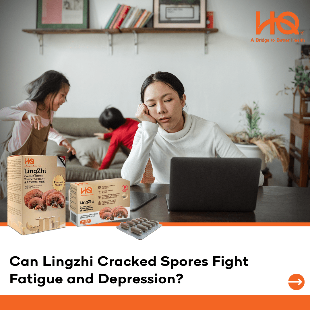 Can Lingzhi Cracked Spores Fight Fatigue and Depression? - HQ Lingzhi Singapore