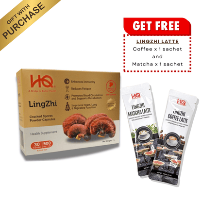 (1 Box + Free Gift) HQ Lingzhi 500mg Premium Cracked Spores Powder Capsules
