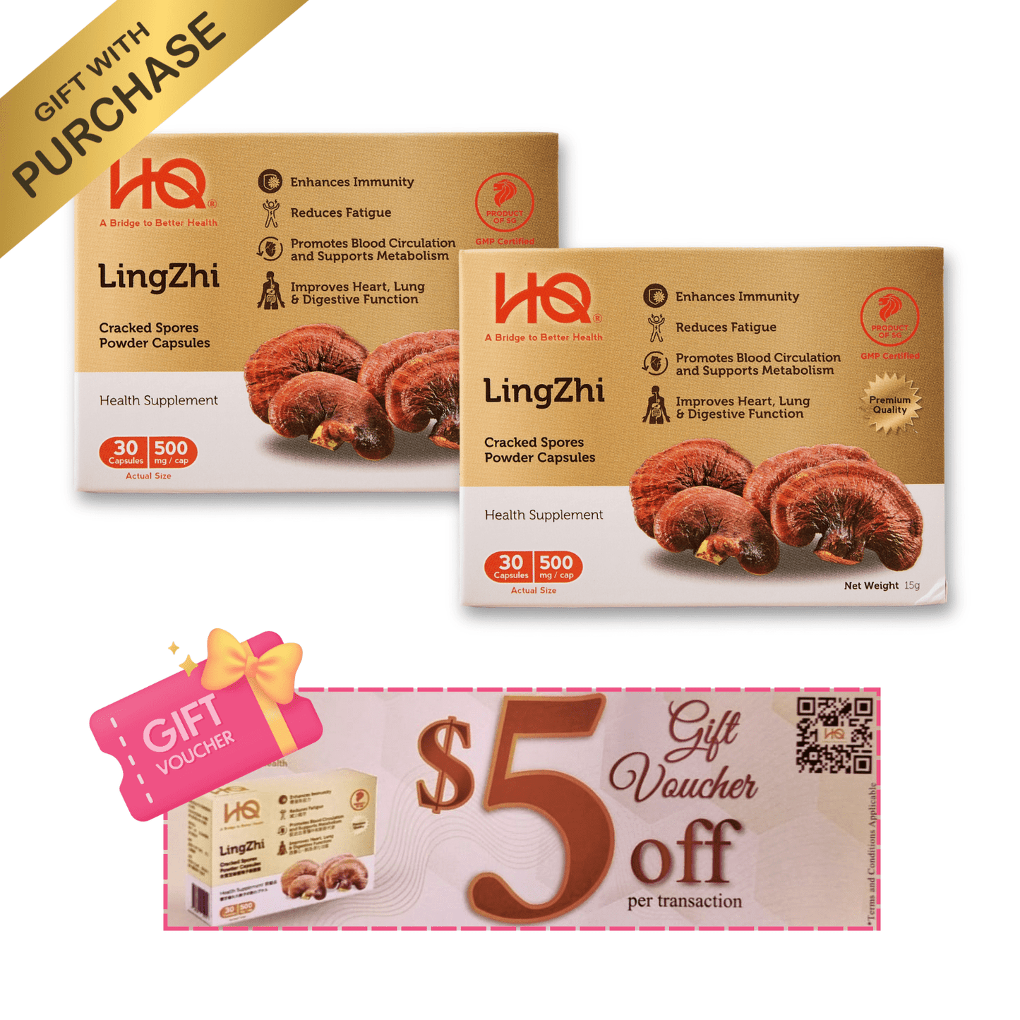 (2-Box Starter Kit + Free Gift) HQ Lingzhi 500mg Premium Cracked Spores Powder Capsules - HQ Lingzhi Singapore