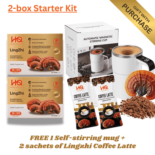 (2-Box Starter Kit + Free Gift) HQ Lingzhi 500mg Premium Cracked Spores Powder Capsules - HQ Lingzhi Singapore
