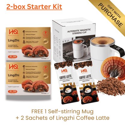 (2-Box Starter Kit + Free Gift) HQ Lingzhi 500mg Premium Cracked Spores Powder Capsules - HQ Lingzhi Singapore