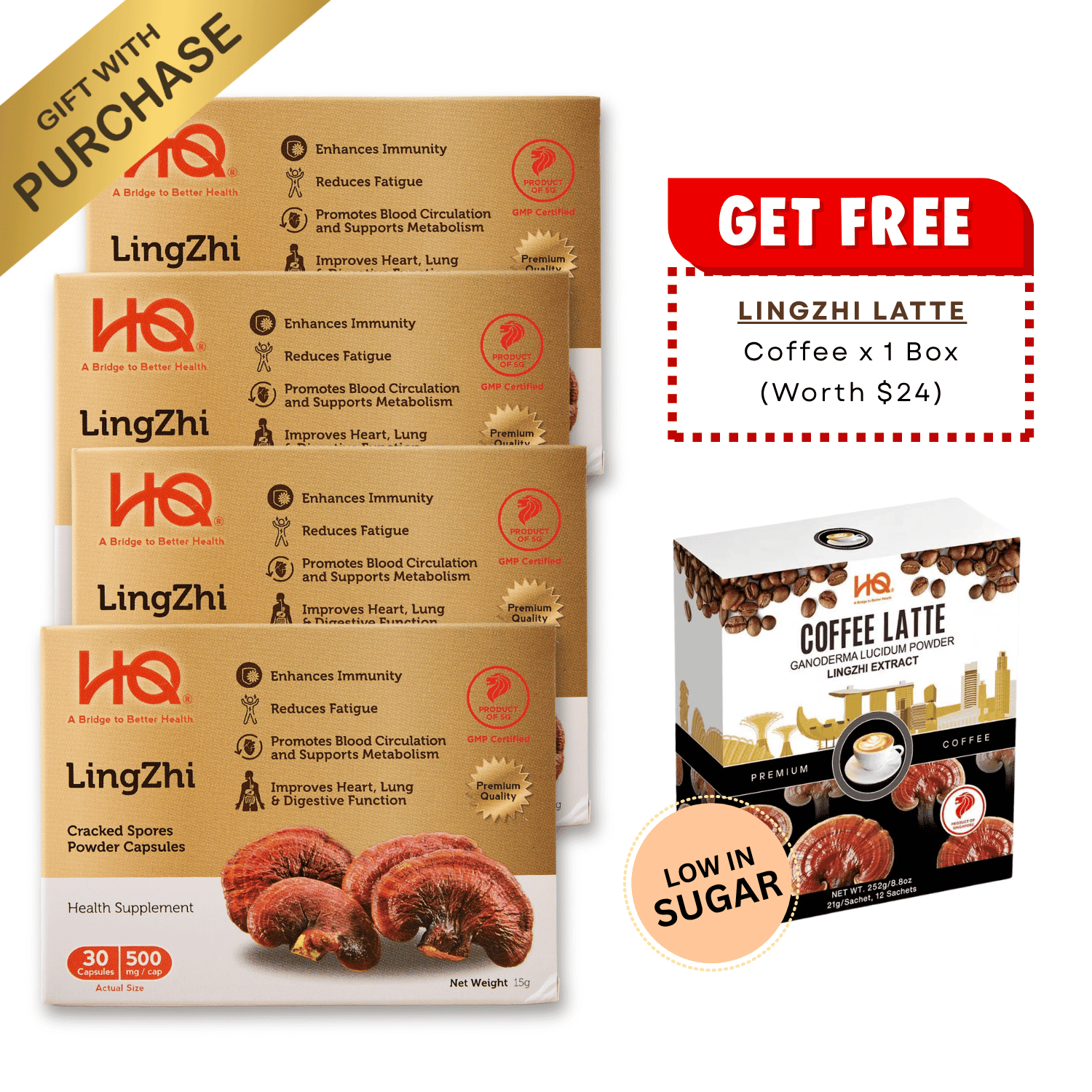 HQ Lingzhi 500mg Cracked Spores Powder Capsules – Immunity Supplement (Bundle of 4) - HQ Lingzhi Singapore
