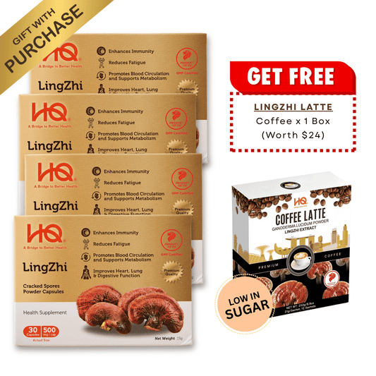 HQ Lingzhi 500mg Cracked Spores Powder Capsules – Immunity Supplement (Bundle of 4) - HQ Lingzhi Singapore