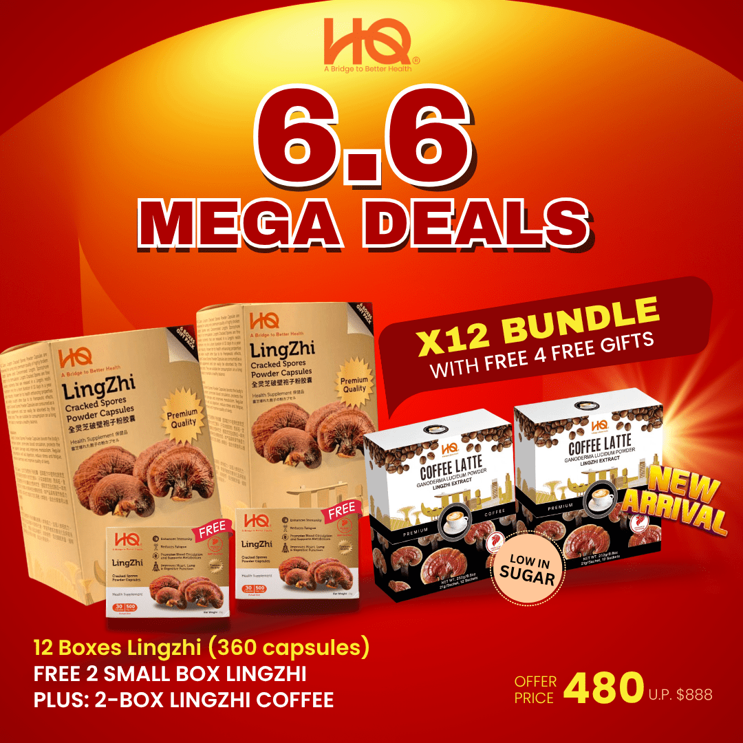 (2 Gift Packs X12) HQ Lingzhi 500mg Premium Cracked Spores Powder Capsules - HQ Lingzhi Singapore