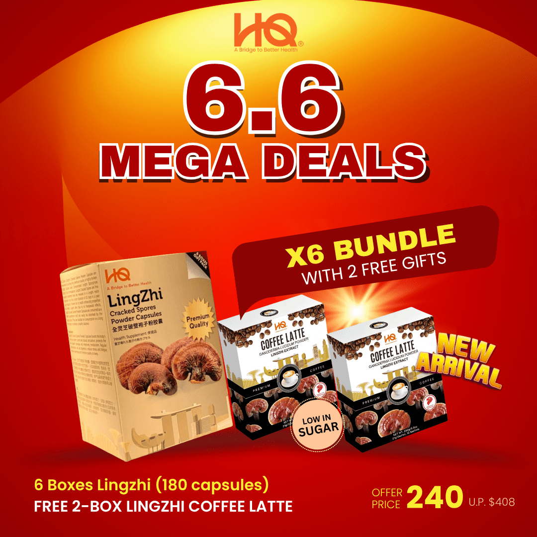 HQ Lingzhi 500mg Premium Cracked Spores Powder Capsules (1 Gift Pack X6) - HQ Lingzhi Singapore