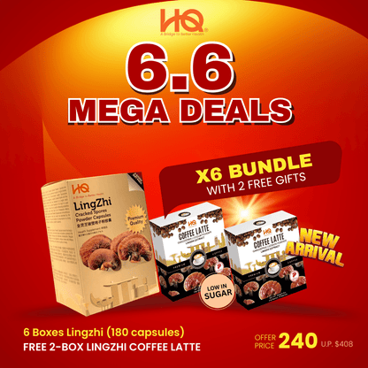 HQ Lingzhi 500mg Premium Cracked Spores Powder Capsules (1 Gift Pack X6) - HQ Lingzhi Singapore