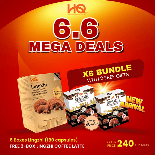 HQ Lingzhi 500mg Premium Cracked Spores Powder Capsules (1 Gift Pack X6) - HQ Lingzhi Singapore