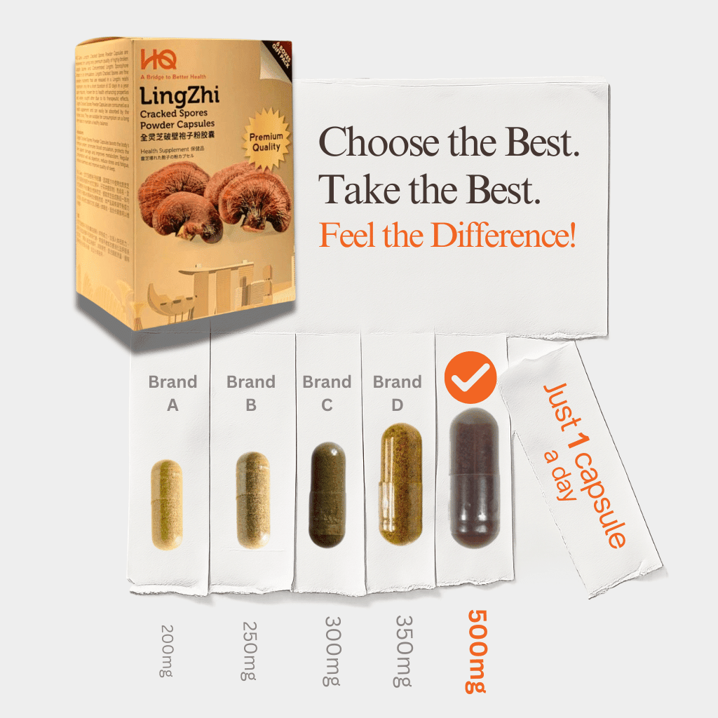 6-box Bundle HQ Lingzhi 500mg Premium Cracked Spores Powder Capsules - HQ Lingzhi Singapore