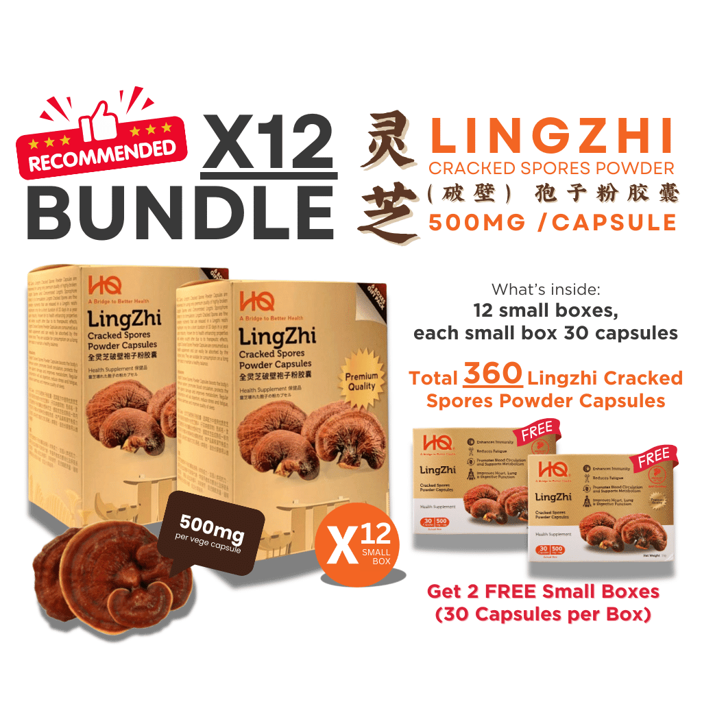 (2 Gift Packs X12) HQ Lingzhi 500mg Premium Cracked Spores Powder Capsules - HQ Lingzhi Singapore