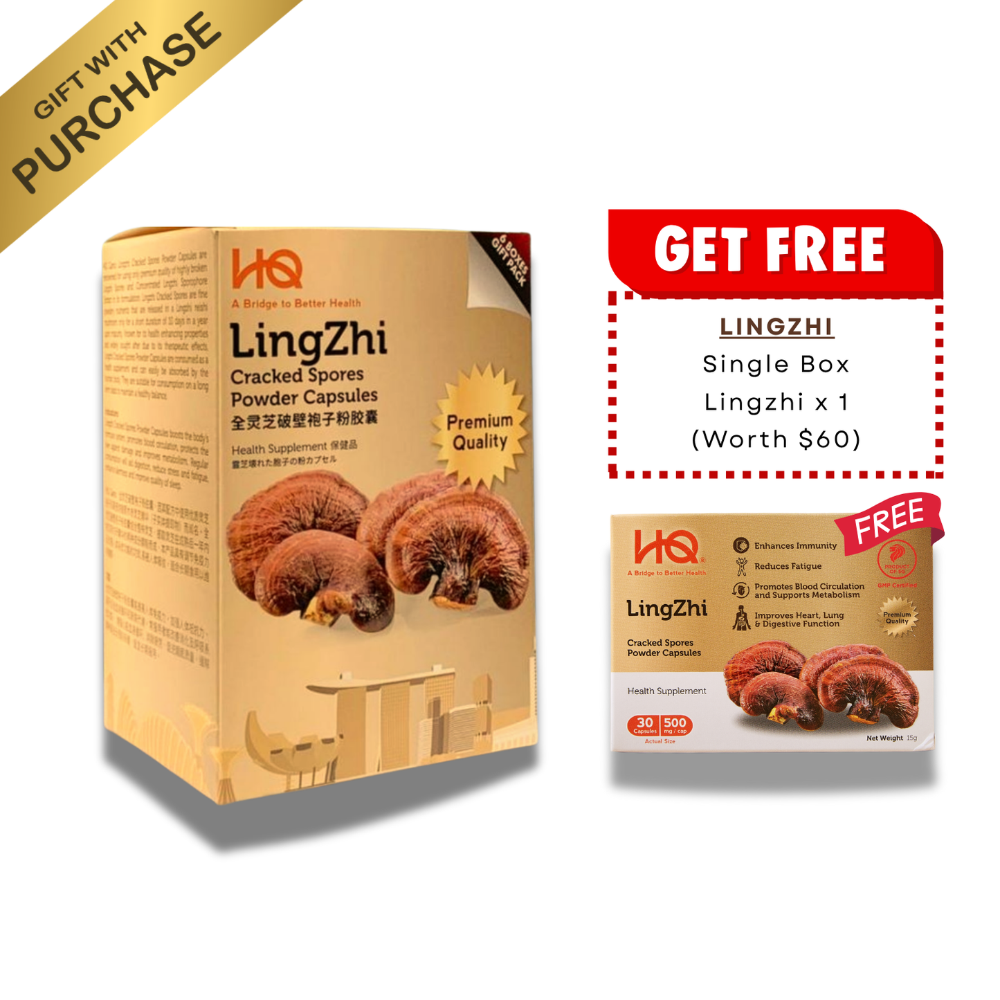 (1 Gift Pack X6) HQ Lingzhi 500mg Premium Cracked Spores Powder Capsules
