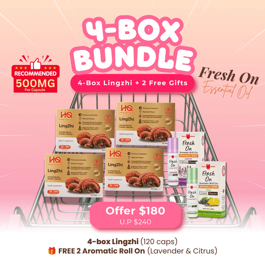 (4-box Value Pack) HQ Lingzhi 500mg Cracked Spores Powder Capsules – Immunity Supplement - HQ Lingzhi Singapore