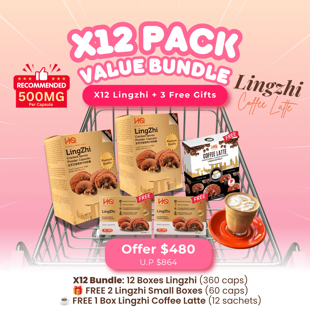 (2 Gift Packs X12) HQ Lingzhi 500mg Premium Cracked Spores Powder Capsules - HQ Lingzhi Singapore