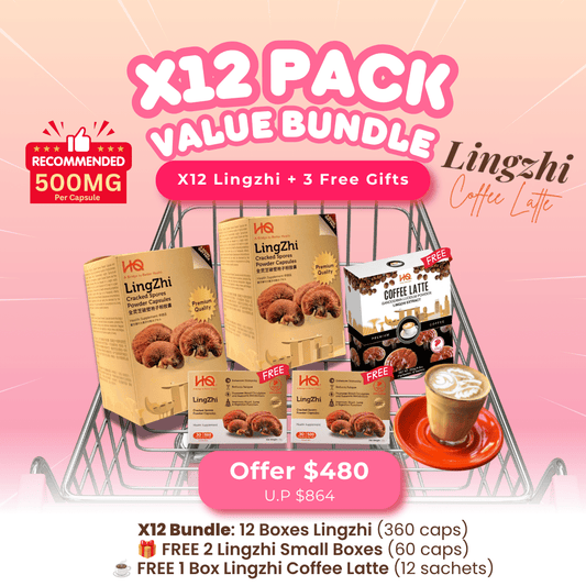 (2 Gift Packs X12) HQ Lingzhi 500mg Premium Cracked Spores Powder Capsules - HQ Lingzhi Singapore