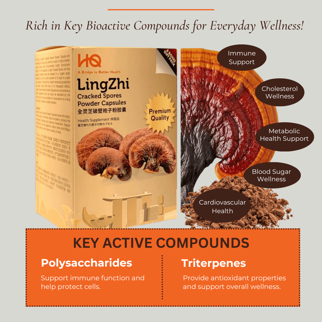 (1 Gift Pack X6) HQ Lingzhi 500mg Premium Cracked Spores Powder Capsules - HQ Lingzhi Singapore