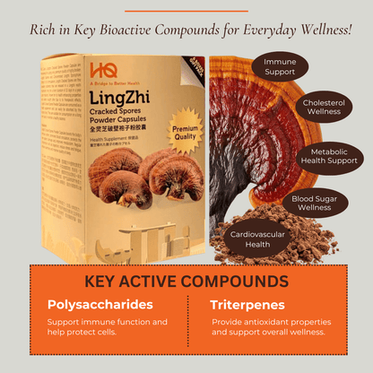 (1 Gift Pack X6) HQ Lingzhi 500mg Premium Cracked Spores Powder Capsules - HQ Lingzhi Singapore