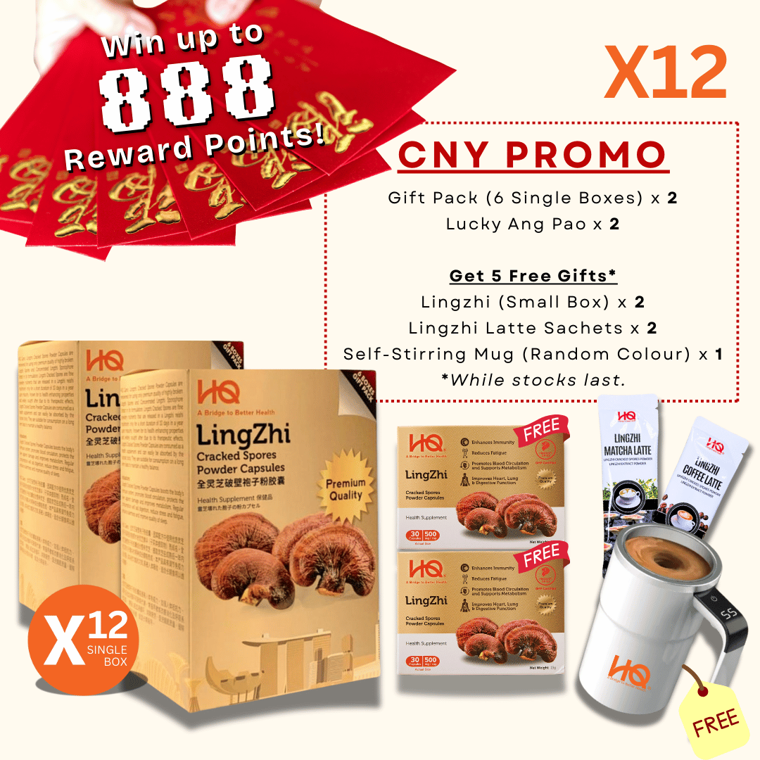 (2 Gift Packs X12) HQ Lingzhi 500mg Premium Cracked Spores Powder Capsules