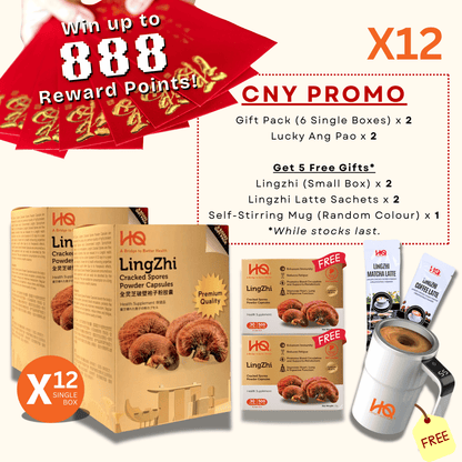 (2 Gift Packs X12) HQ Lingzhi 500mg Premium Cracked Spores Powder Capsules