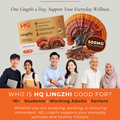 (1 Gift Pack X6) HQ Lingzhi 500mg Premium Cracked Spores Powder Capsules - HQ Lingzhi Singapore