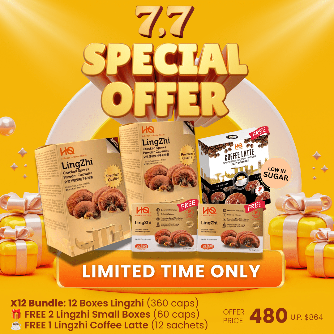 (2 Gift Packs X12) HQ Lingzhi 500mg Premium Cracked Spores Powder Capsules - HQ Lingzhi Singapore