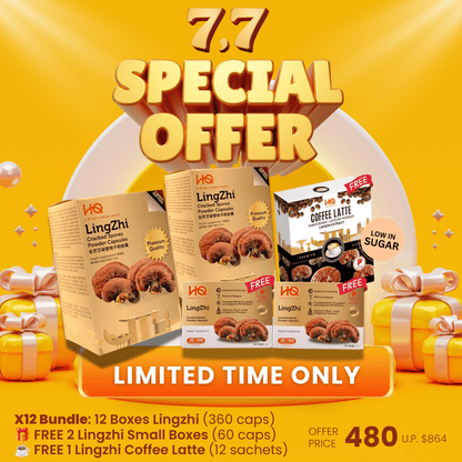 (2 Gift Packs X12) HQ Lingzhi 500mg Premium Cracked Spores Powder Capsules - HQ Lingzhi Singapore