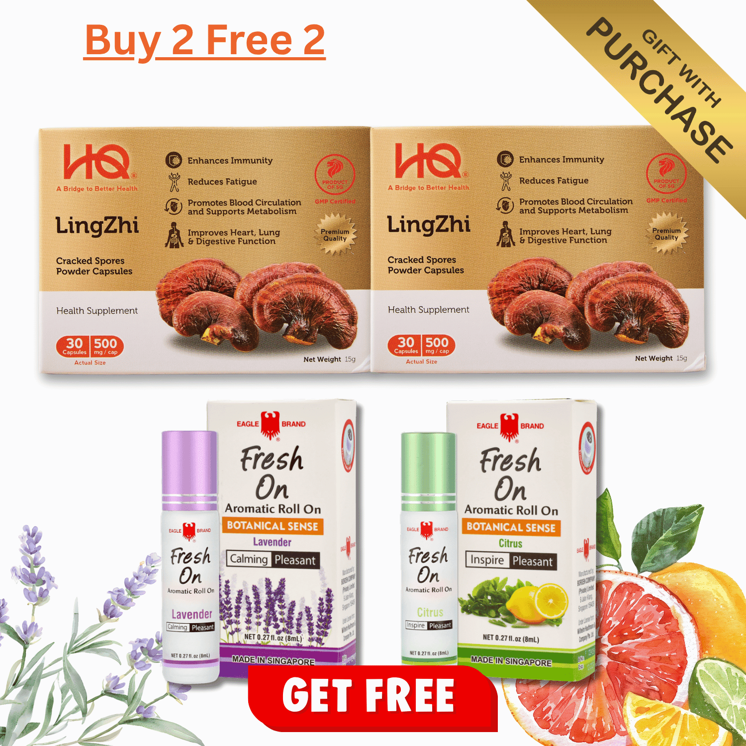 (2-Box Starter Kit + Free Gift) HQ Lingzhi 500mg Premium Cracked Spores Powder Capsules - HQ Lingzhi Singapore