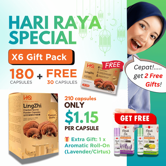 (1 Gift Pack X6) HQ Lingzhi 500mg Premium Cracked Spores Powder Capsules