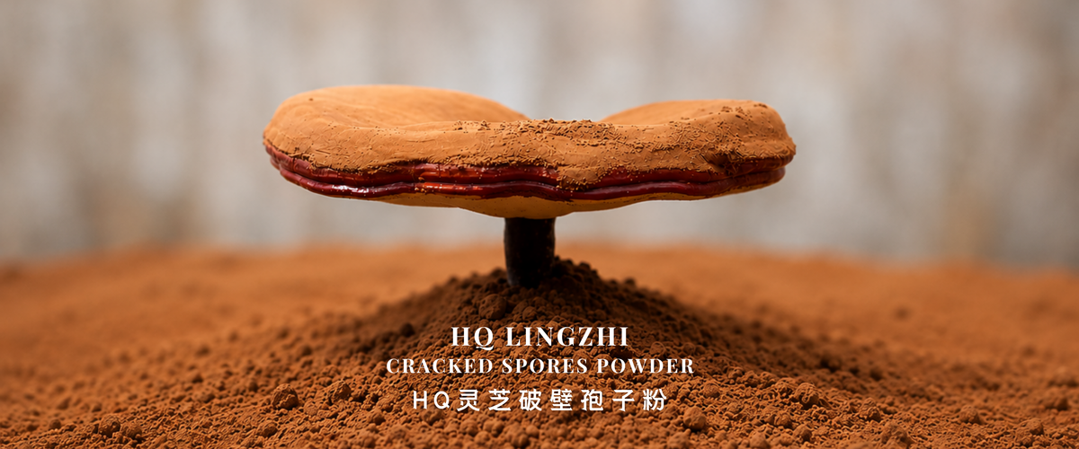 Load video: A Bridge to Better Health ~ HQ Lingzhi