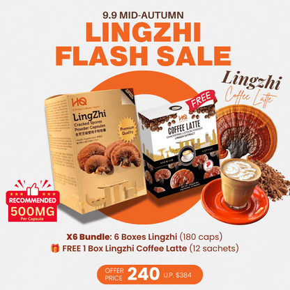 (1 Gift Pack X6) HQ Lingzhi 500mg Premium Cracked Spores Powder Capsules - HQ Lingzhi Singapore