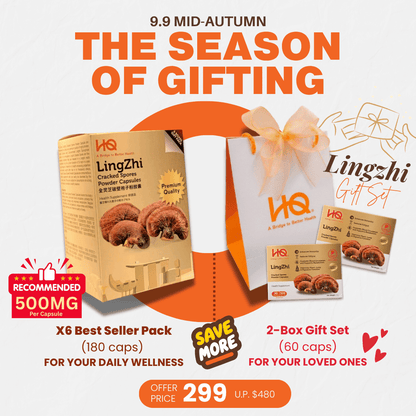 (1 Gift Pack X6) HQ Lingzhi 500mg Premium Cracked Spores Powder Capsules - HQ Lingzhi Singapore