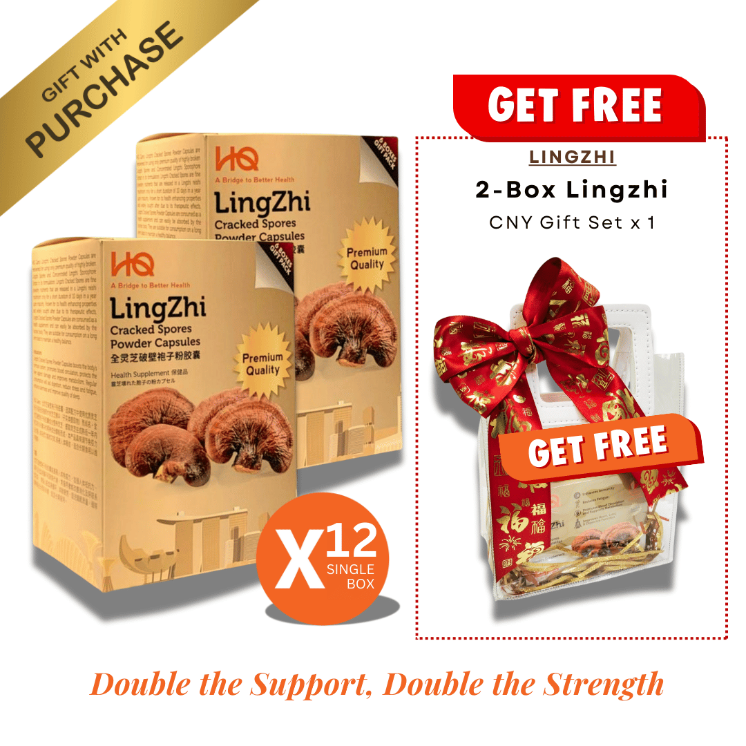 (2 Gift Packs X12) HQ Lingzhi 500mg Premium Cracked Spores Powder Capsules
