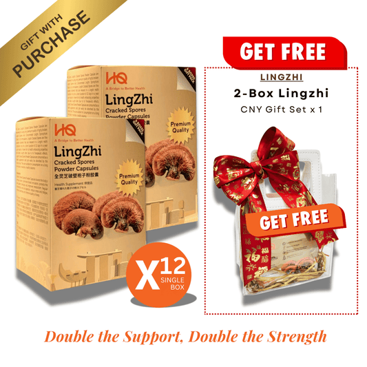 (2 Gift Packs X12) HQ Lingzhi 500mg Premium Cracked Spores Powder Capsules