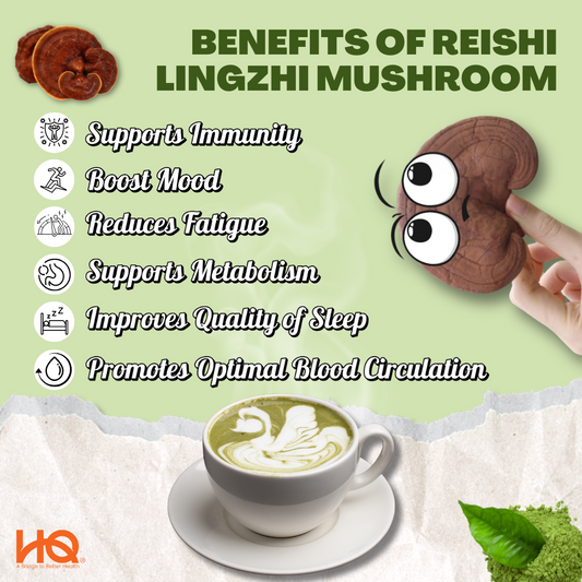 HQ Lingzhi Cracked Spores Latte - Matcha Latte 灵芝抹茶拿铁