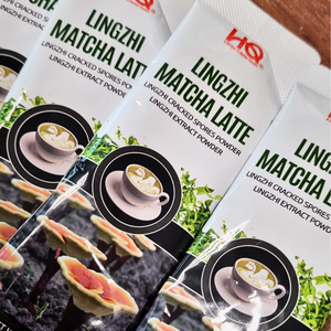 [HQ Lingzhi] Lingzhi Cracked Spores & Lingzhi Extract Matcha Latte [灵芝破壁孢子粉与灵芝提取物抹茶拿铁]- 12 Sachet x 21g/each