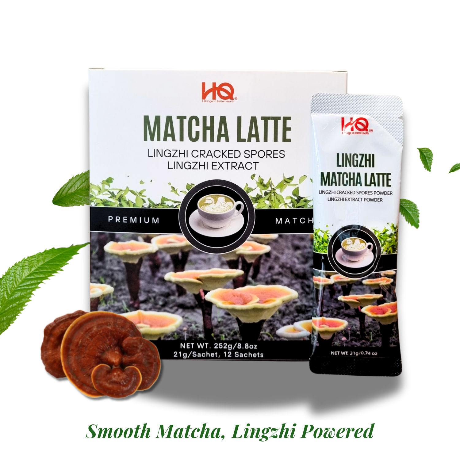 HQ Lingzhi Cracked Spores Latte - Matcha Latte 灵芝抹茶拿铁