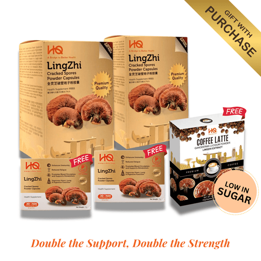 (2 Gift Packs X12) HQ Lingzhi 500mg Premium Cracked Spores Powder Capsules - HQ Lingzhi Singapore