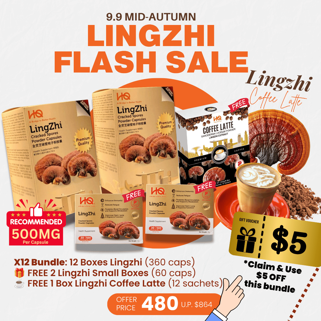 (2 Gift Packs X12) HQ Lingzhi 500mg Premium Cracked Spores Powder Capsules - HQ Lingzhi Singapore