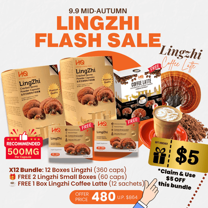 (2 Gift Packs X12) HQ Lingzhi 500mg Premium Cracked Spores Powder Capsules - HQ Lingzhi Singapore