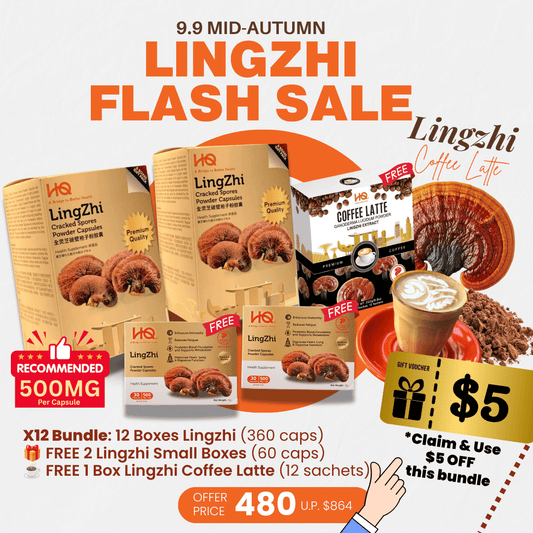 (2 Gift Packs X12) HQ Lingzhi 500mg Premium Cracked Spores Powder Capsules