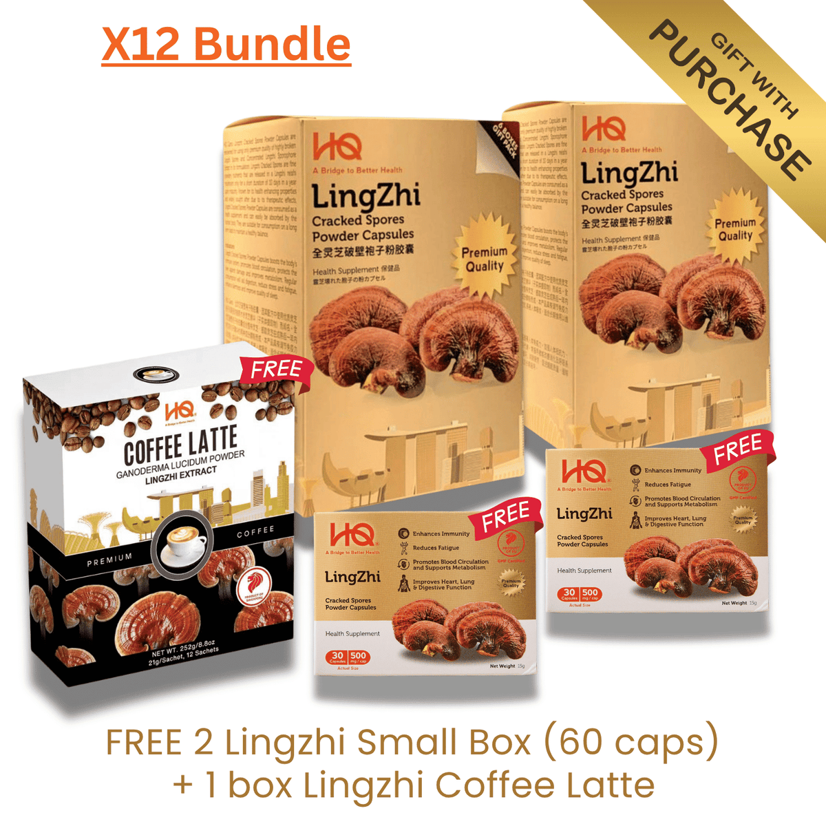 (2 Gift Packs X12) HQ Lingzhi 500mg Premium Cracked Spores Powder Capsules - HQ Lingzhi Singapore