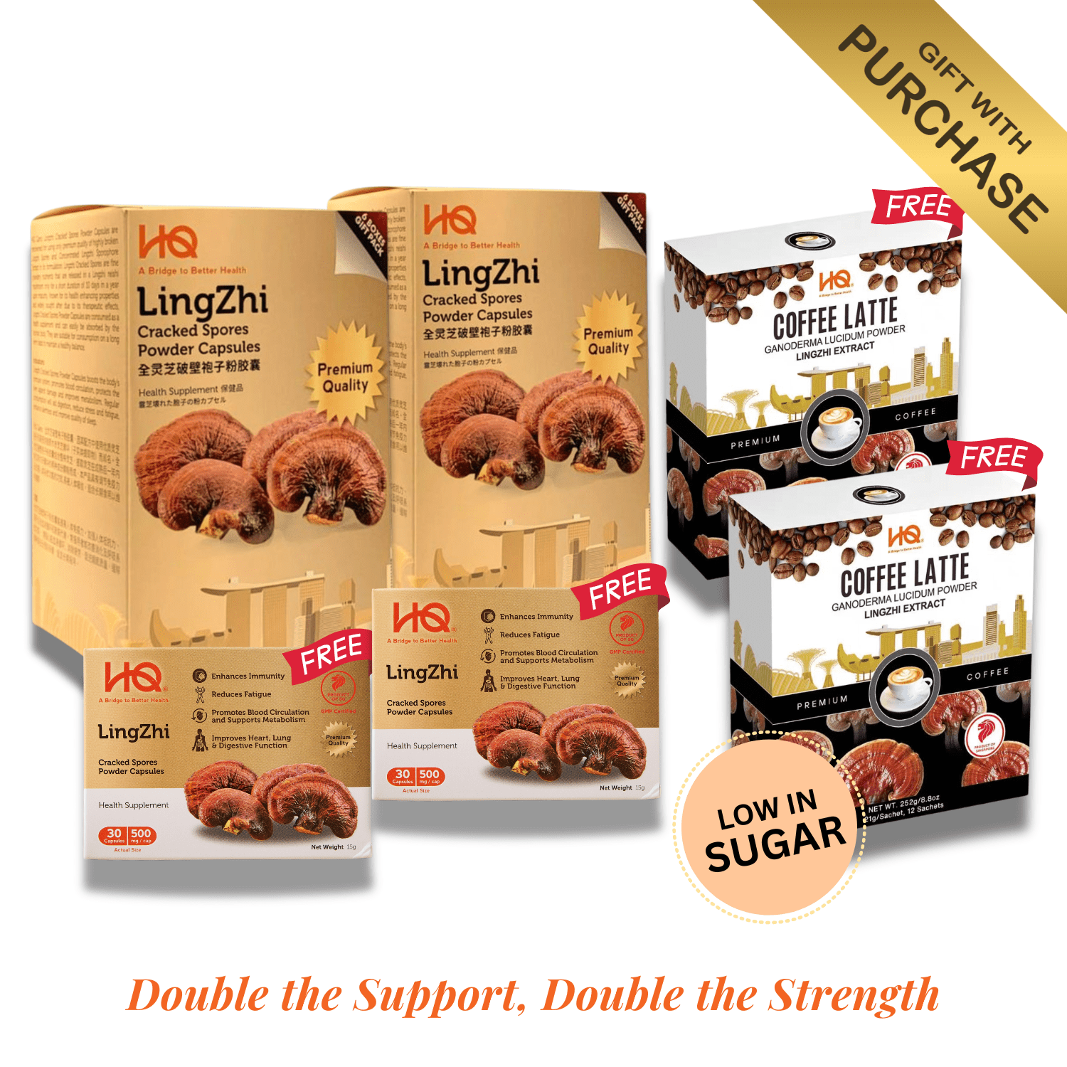 (2 Gift Packs X12) HQ Lingzhi 500mg Premium Cracked Spores Powder Capsules - HQ Lingzhi Singapore