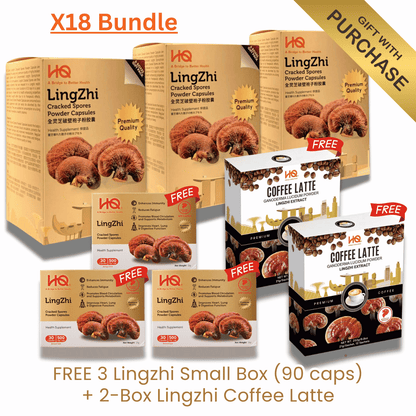 (3 Gift Packs X18) HQ Lingzhi 500mg Premium Cracked Spores Powder Capsules - HQ Lingzhi Singapore