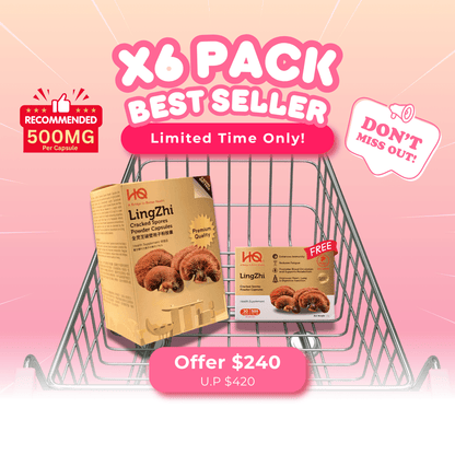 (1 Gift Pack X6) HQ Lingzhi 500mg Premium Cracked Spores Powder Capsules - HQ Lingzhi Singapore