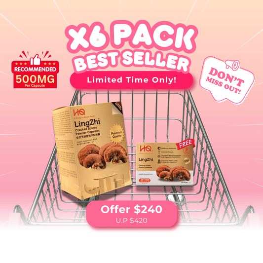(1 Gift Pack X6) HQ Lingzhi 500mg Premium Cracked Spores Powder Capsules - HQ Lingzhi Singapore