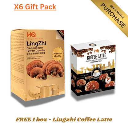 (1 Gift Pack X6) HQ Lingzhi 500mg Premium Cracked Spores Powder Capsules - HQ Lingzhi Singapore