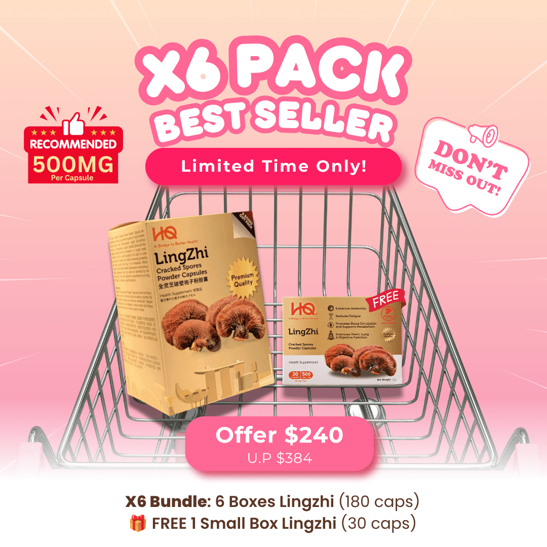 (1 Gift Pack X6) HQ Lingzhi 500mg Premium Cracked Spores Powder Capsules - HQ Lingzhi Singapore