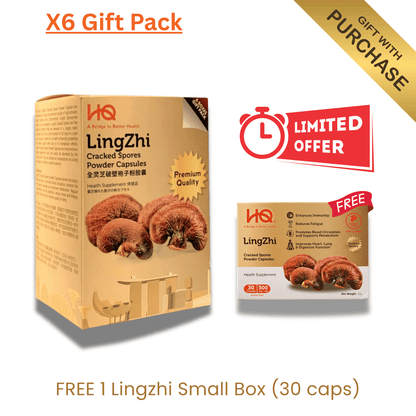 (1 Gift Pack X6) HQ Lingzhi 500mg Premium Cracked Spores Powder Capsules - HQ Lingzhi Singapore