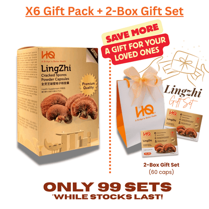 (1 Gift Pack X6) HQ Lingzhi 500mg Premium Cracked Spores Powder Capsules - HQ Lingzhi Singapore